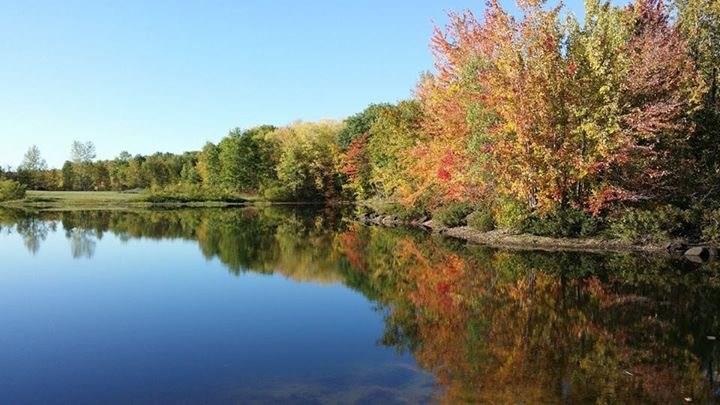 243 Bog Road Hampden, ME 04444 - Photo 14 of 16 Photo