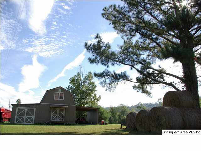 495 Jackson Taylor Road Ashville, AL 35953 - Photo 18 of 28