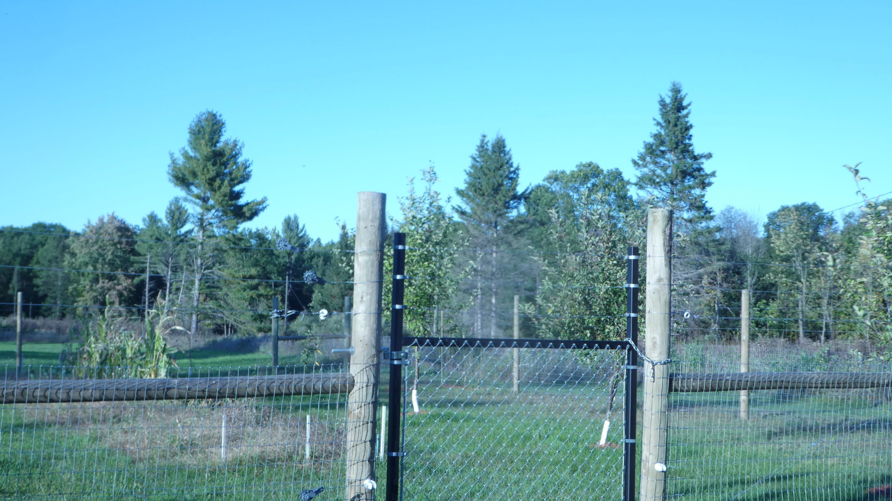 12649 Beaver Lake Road Lachine, MI 49753 - Photo 44 of 65 Gallery Image 44