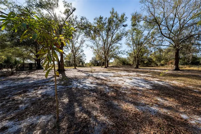 a view of dirt field with trees