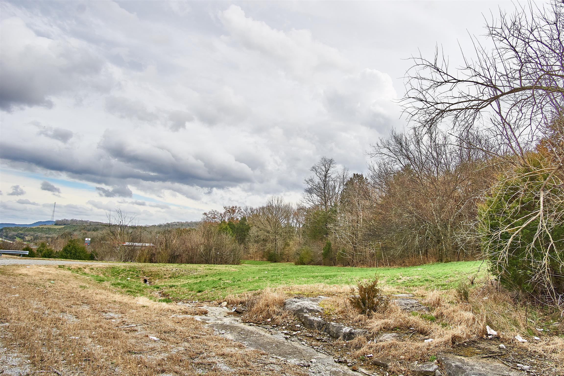 0 John Bragg Highway Readyville, TN 37149 - Photo 12 of 16 a view of a yard