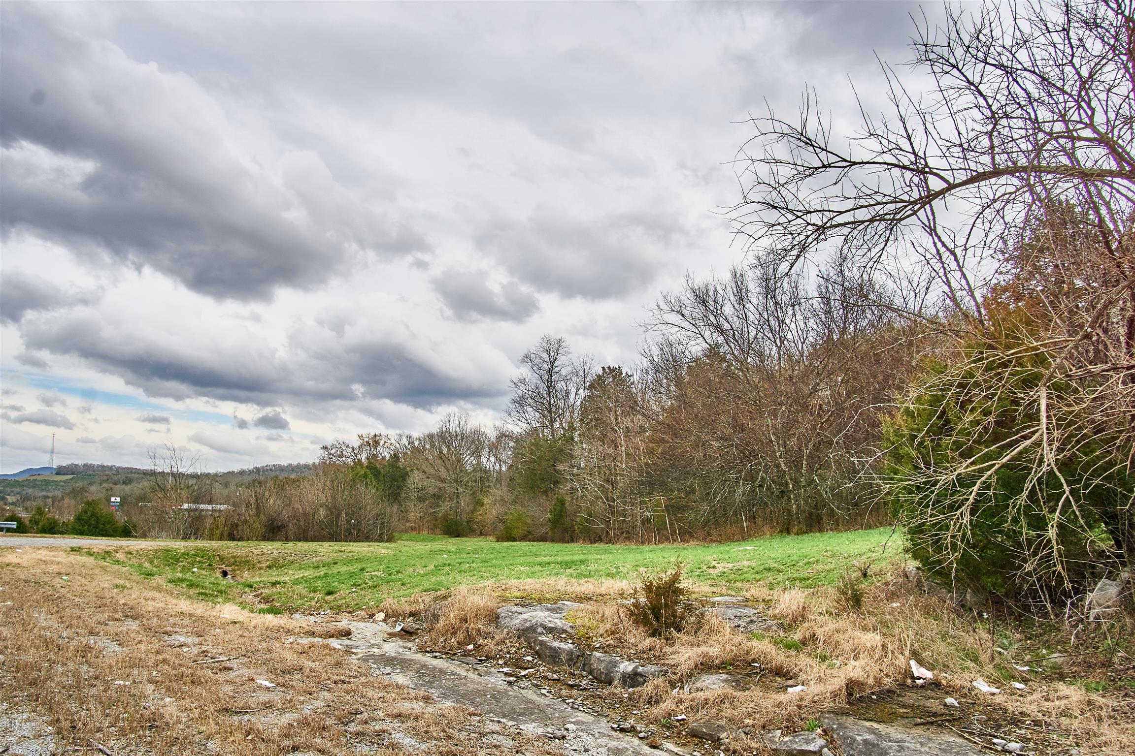 0 John Bragg Highway Readyville, TN 37149 - Photo 7 of 16 a big yard with lots of green space