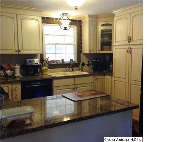 8375 Zuber Road Springville, AL 35146 - Photo 7 of 22