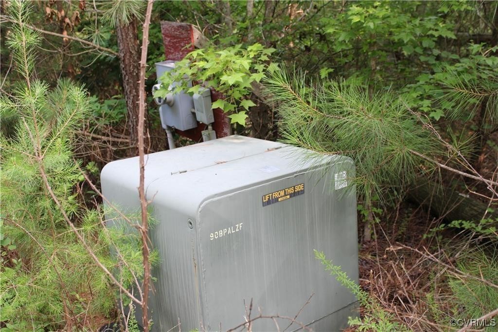 3270 Diascund Reservoir Road Lanexa, VA 23089 - Photo 11 of 12 a view of a yard with plants