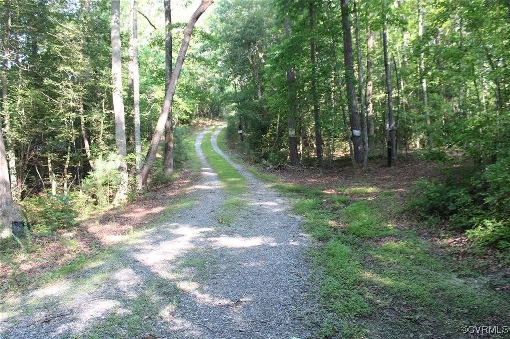 3270 Diascund Reservoir Road Lanexa, VA 23089 - Photo 3 of 12 a view of backyard