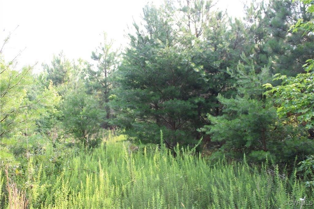 3270 Diascund Reservoir Road Lanexa, VA 23089 - Photo 4 of 12 a view of a lush green space