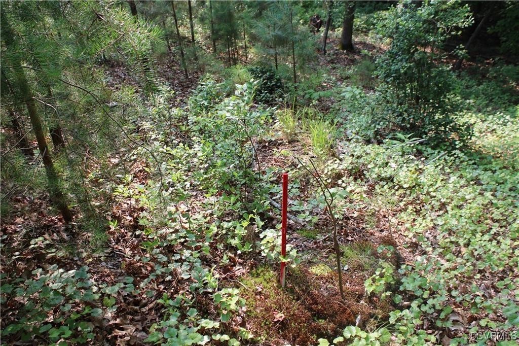 3270 Diascund Reservoir Road Lanexa, VA 23089 - Photo 6 of 12 a view of a lush green forest