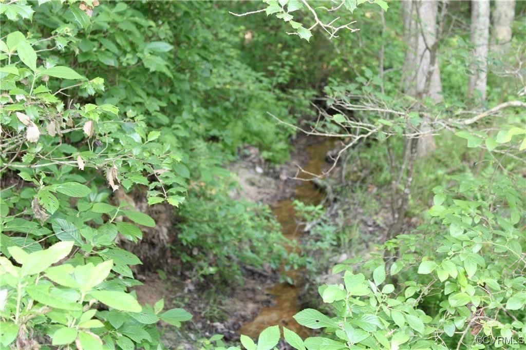 3270 Diascund Reservoir Road Lanexa, VA 23089 - Photo 7 of 12 a backyard of a house with lots of green space and a fountain