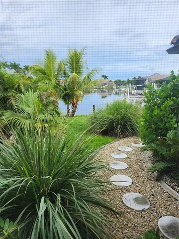 a view of a backyard of plants and flowers