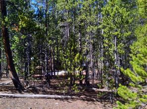 0 Kootchie Kootchie Road Fairplay, CO 80440 - Photo 6 of 15 Gallery Image 6