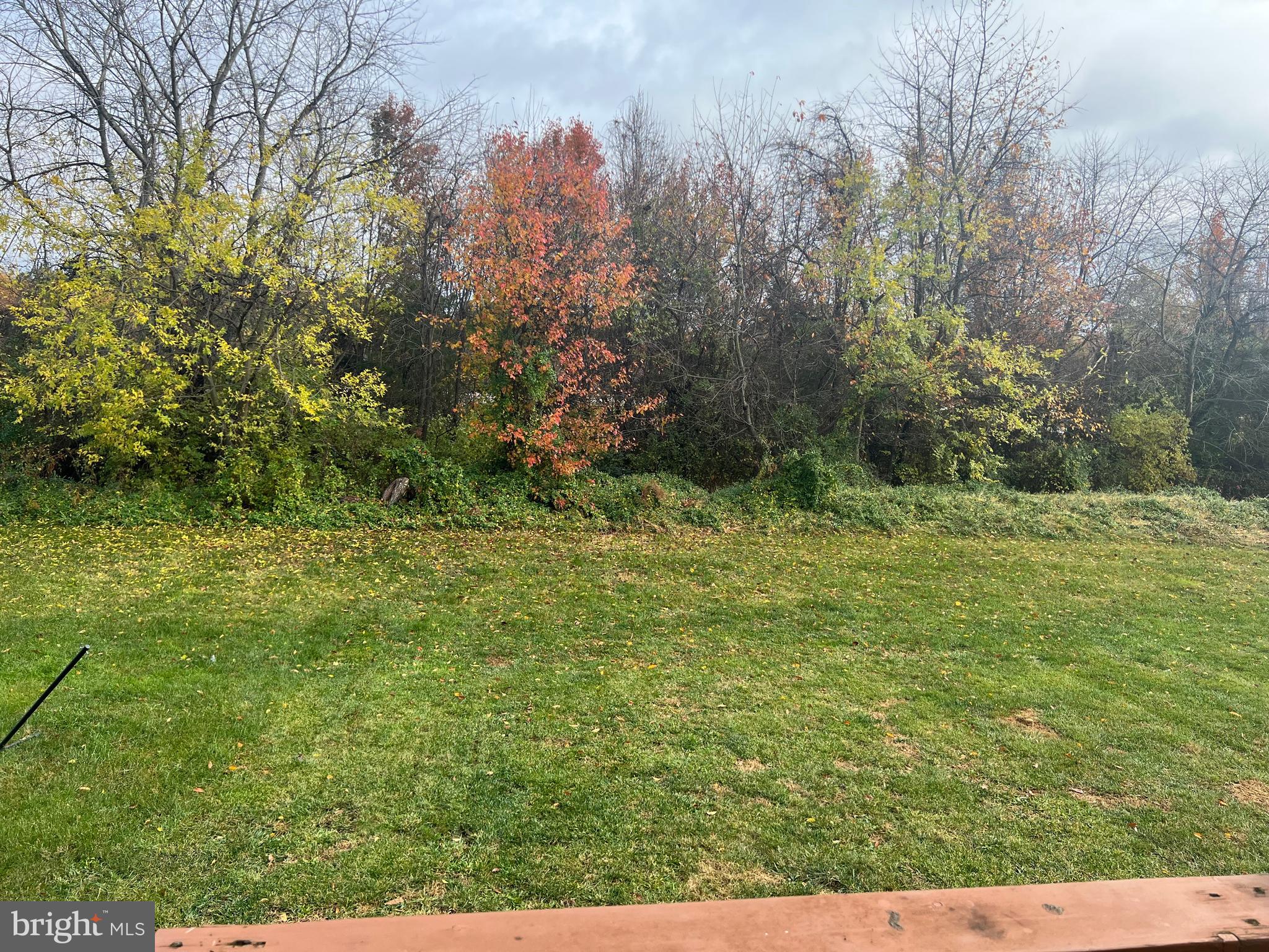 442 Sequoia Drive Smyrna, DE 19977 - Photo 15 of 15 a big yard with lots of green space