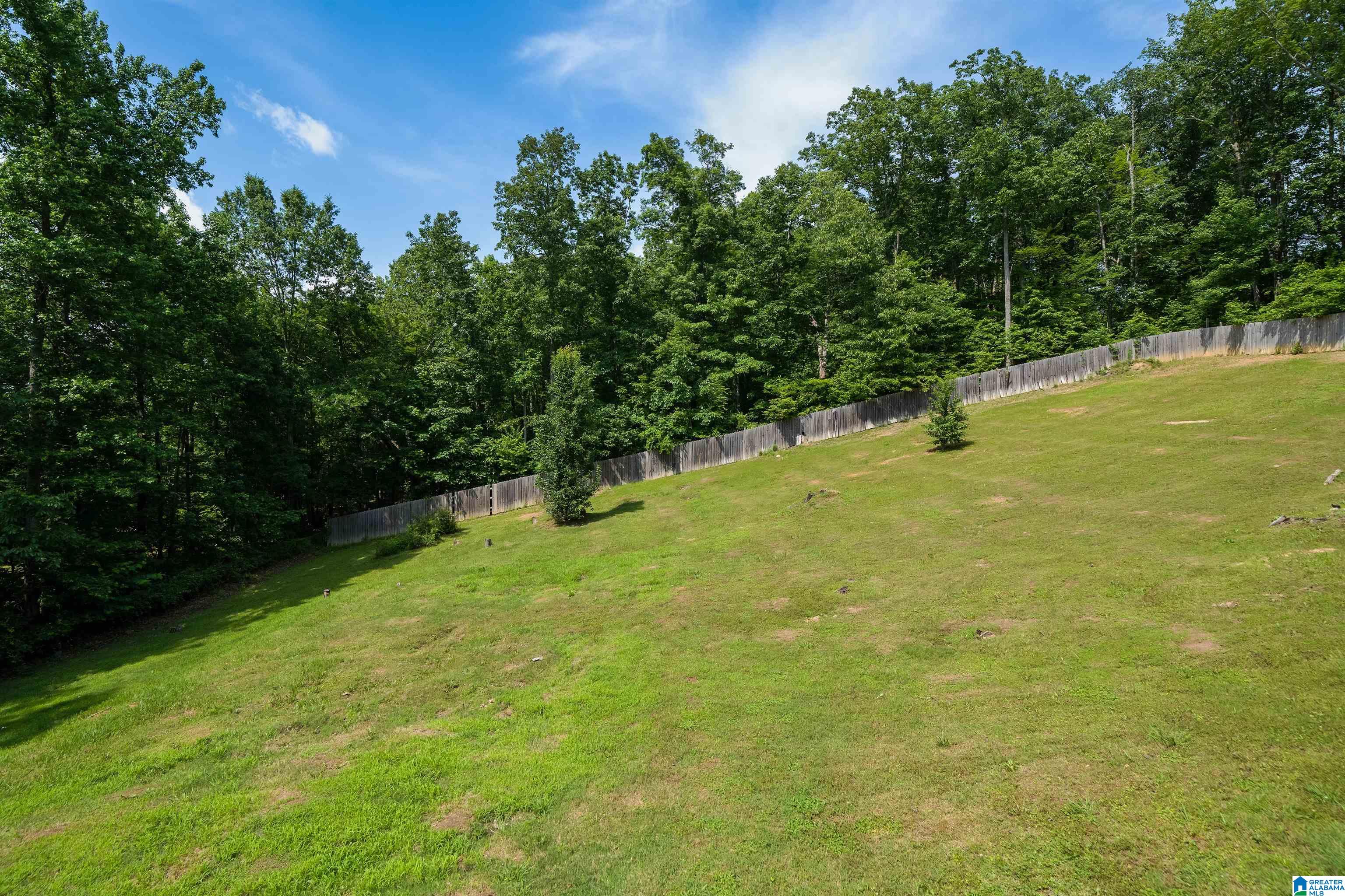 49 Fern Lane Springville, AL 35146 - Photo 29 of 29