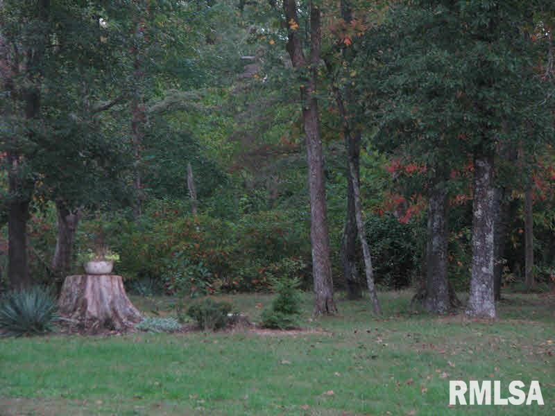 14196 Mustang Road Marion, IL 62959 - Photo 23 of 48