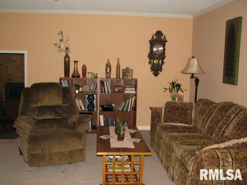 14196 Mustang Road Marion, IL 62959 - Photo 30 of 48