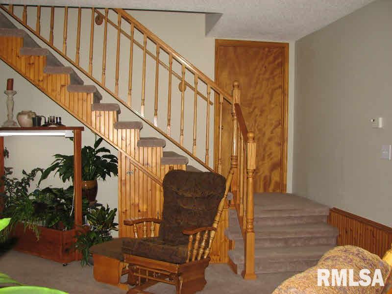 14196 Mustang Road Marion, IL 62959 - Photo 32 of 48