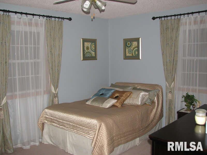 14196 Mustang Road Marion, IL 62959 - Photo 36 of 48