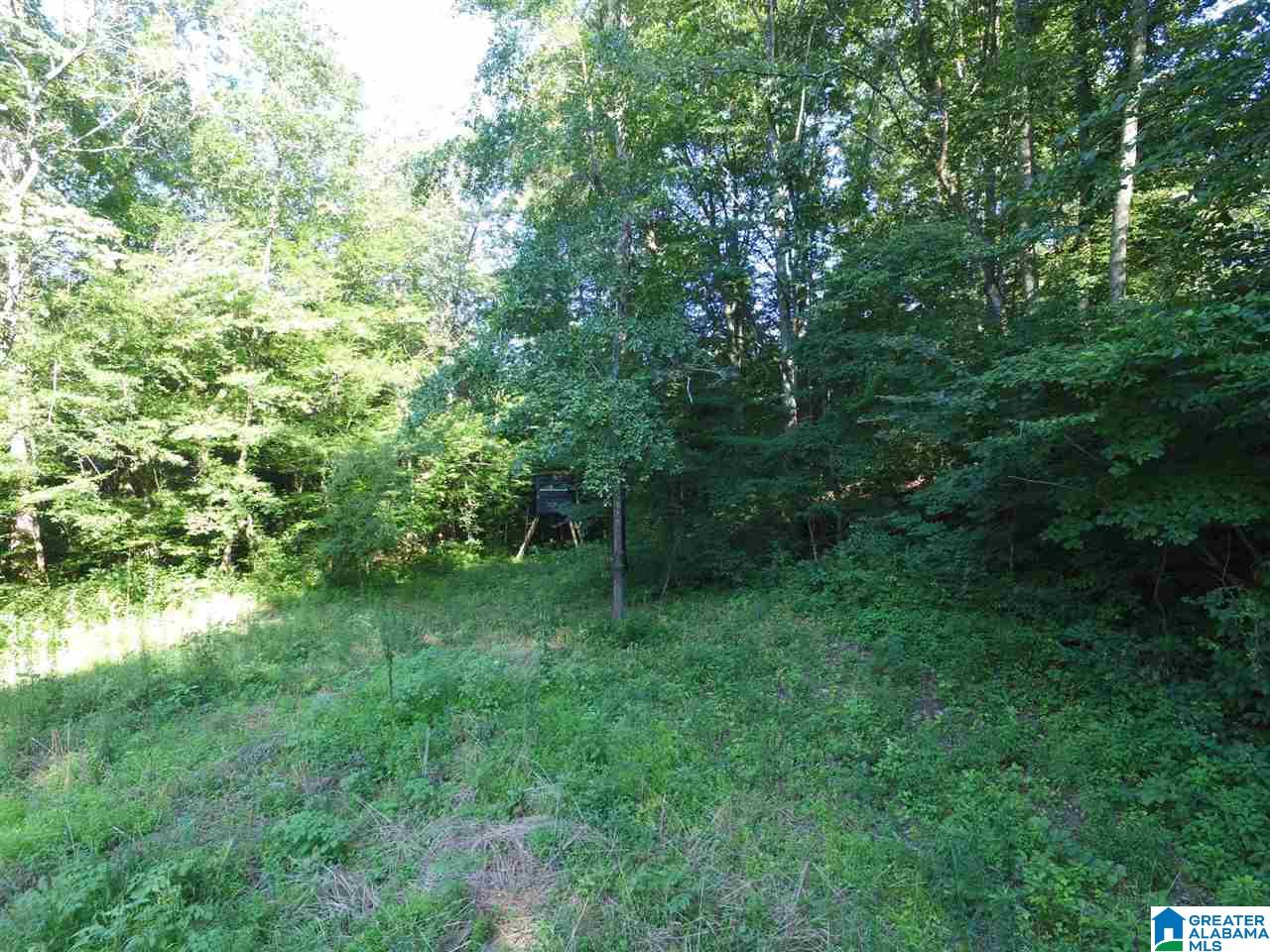 0 Carnes Chapel Road, Unit 113 Gallant, AL 35972 - Photo 22 of 32