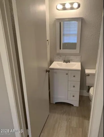 a bathroom with a sink a mirror and a toilet