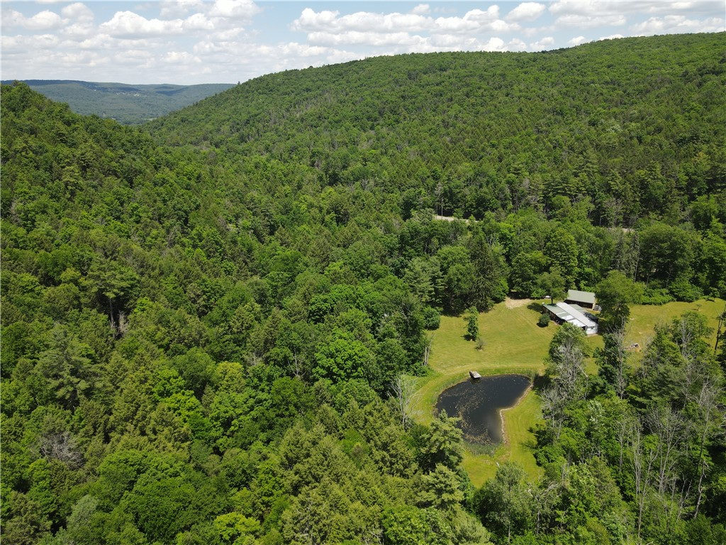2213 Brown Hollow Road Corning, NY 14830 - Photo 2 of 50
