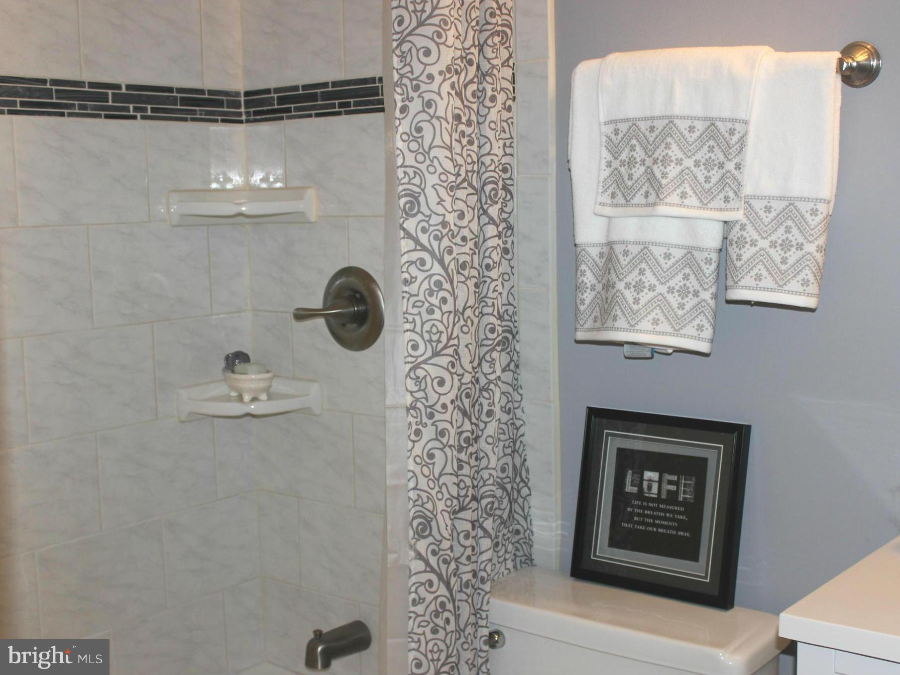 9003 Fox Grape Lane Springfield, VA 22152 - Photo 17 of 21 Bath