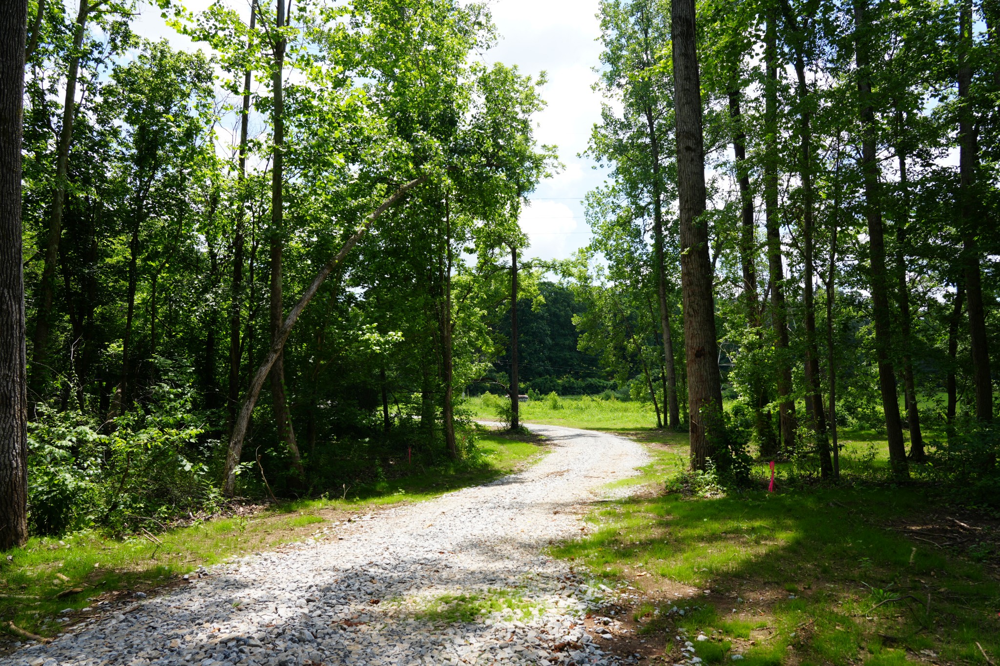 1 Budds Creek Road Palmyra, TN 37142 - Photo 74 of 76