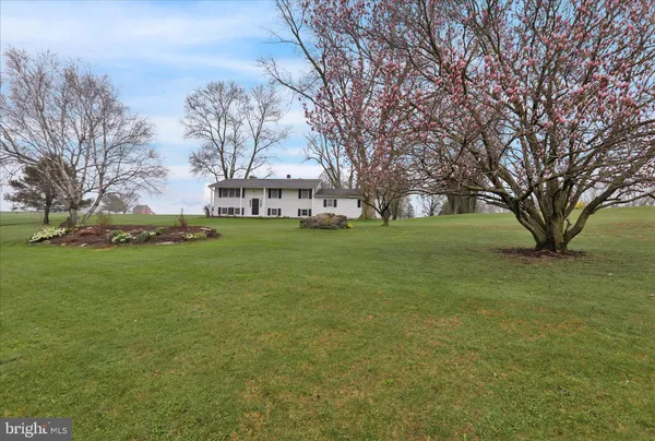 a view of a trees with a yard
