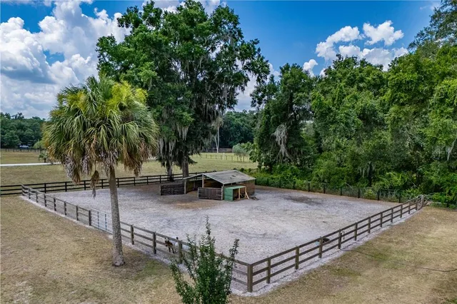 a view of a swimming pool with a yard