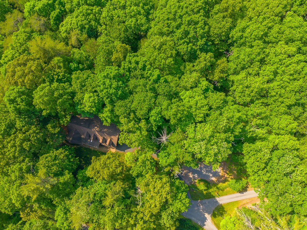 171 High Splendor Drive Robbinsville, NC 28771 - Photo 59 of 62