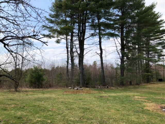 834 River Road Hollis Center, ME 04042 - Photo 25 of 25 Large open lot