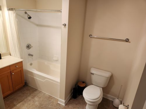 8440 Callie Avenue, Unit 410 Morton Grove, IL 60053 - Photo 11 of 27 a white toilet sitting next to a bath tub