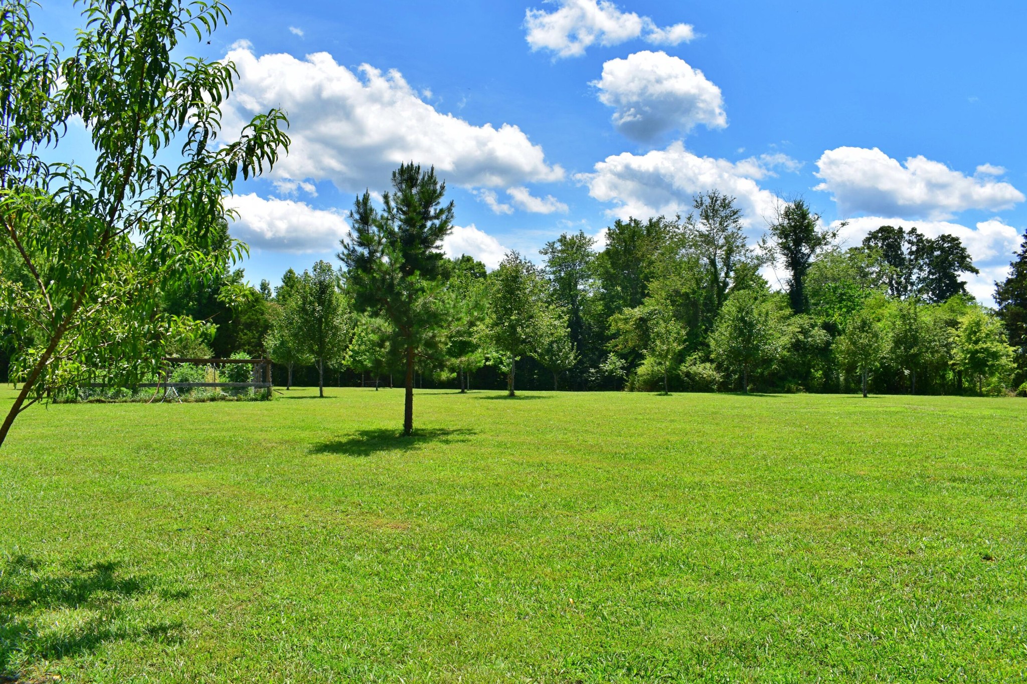 5858 Wolf Creek Road Spring City, TN 37381 - Photo 36 of 76