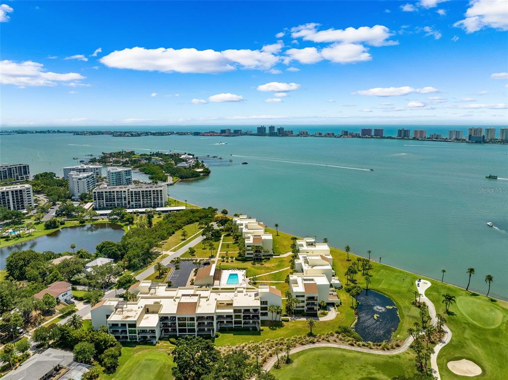 50 Coe Road, Unit 331 Belleair, FL 33756 - Photo 70 of 90