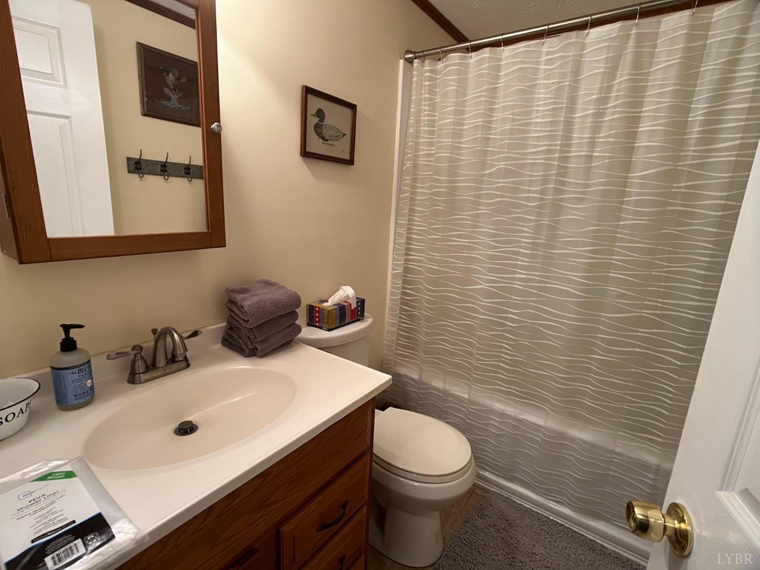 598 Chestnut Grove Church Road Appomattox, VA 24522 - Photo 13 of 19 Gallery Image 13