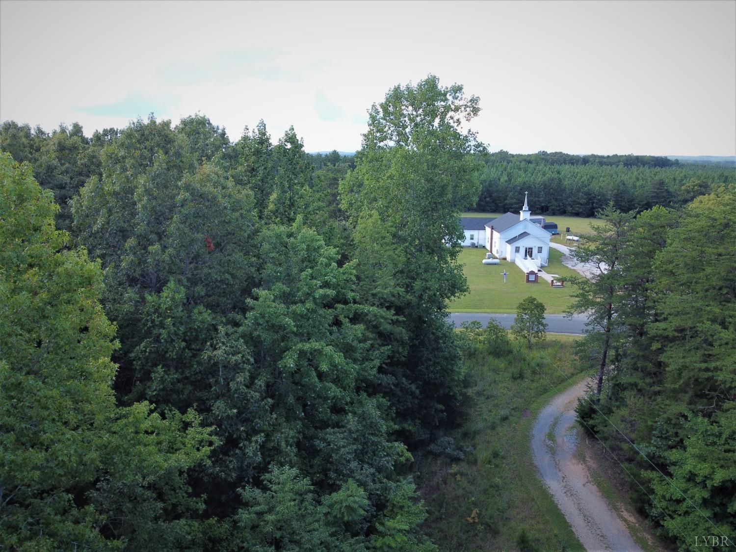 598 Chestnut Grove Church Road Appomattox, VA 24522 - Photo 16 of 19 View of Driveway and across the road
