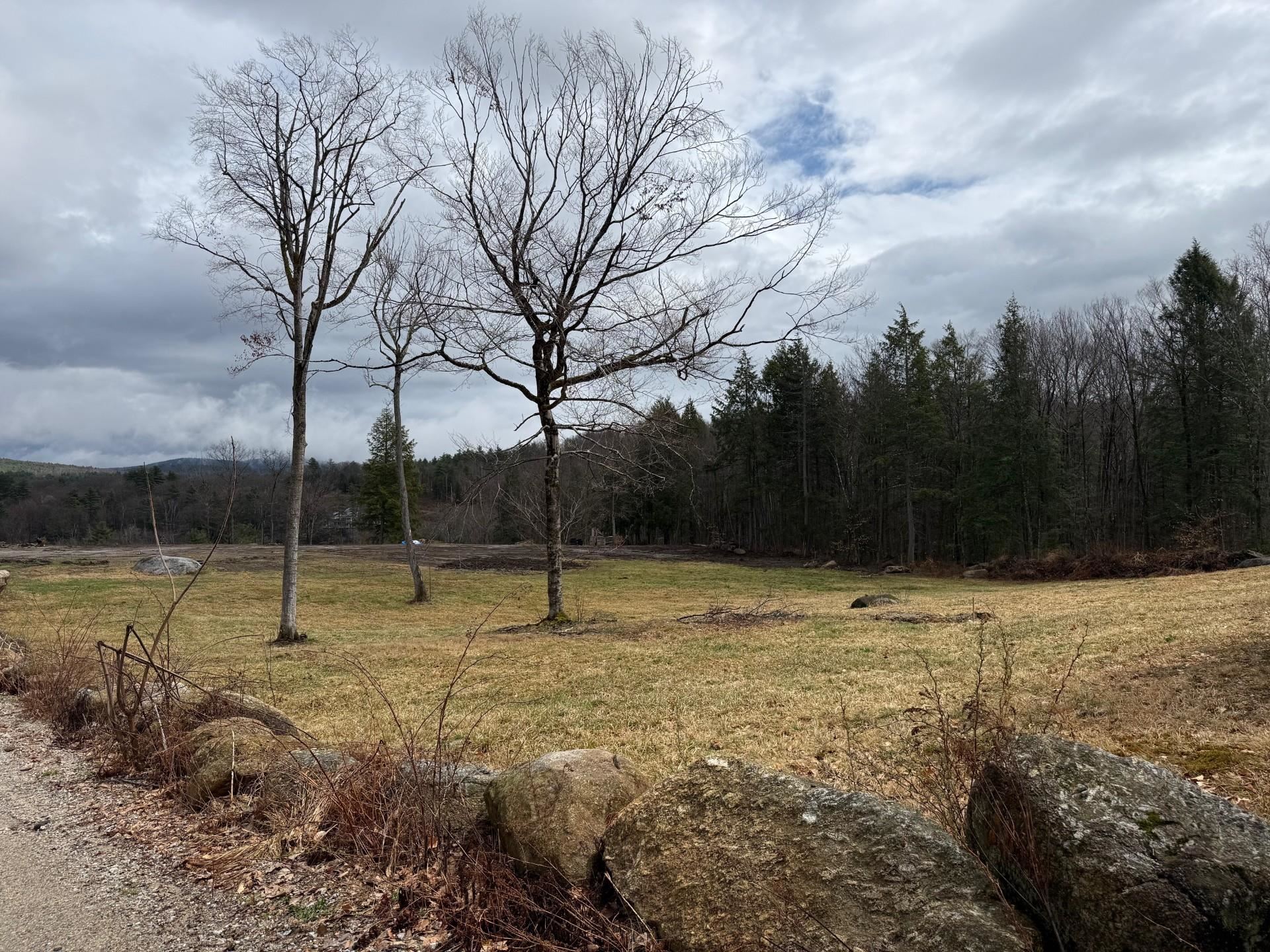 Lot 70.1 Old North Branch Road Antrim, NH 03440 - Photo 3 of 10