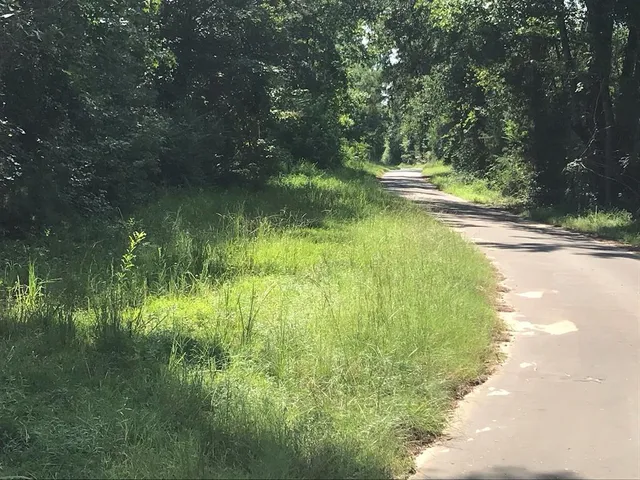 a view of a lake view with a garden