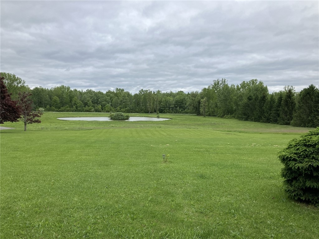 817 Whittier Road Ogden, NY 14559 - Photo 6 of 48 Pond