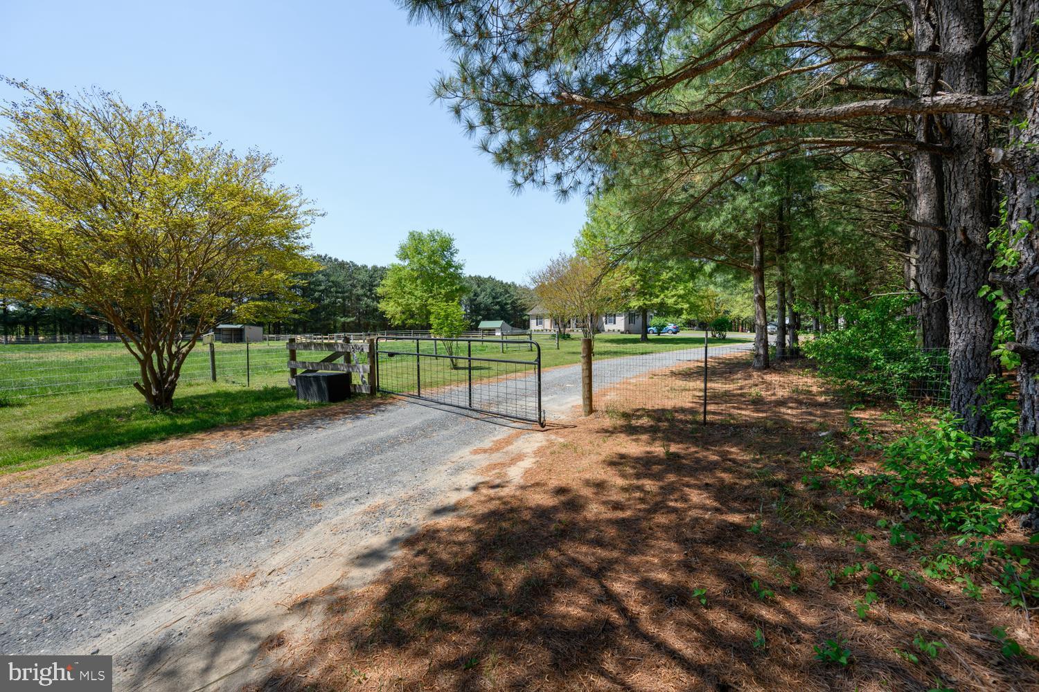 12104 Holly Road Ridgely, MD 21660 - Photo 40 of 44
