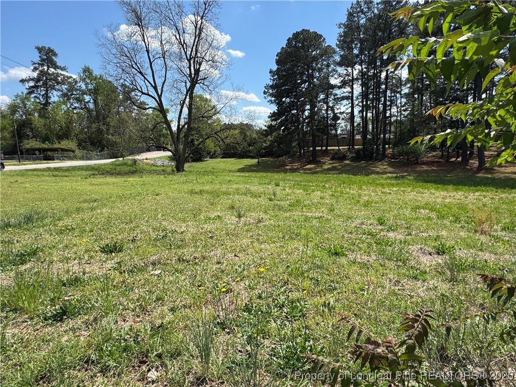 203 Harris Avenue Raeford, NC 28376 - Photo 3 of 5 a view of a yard