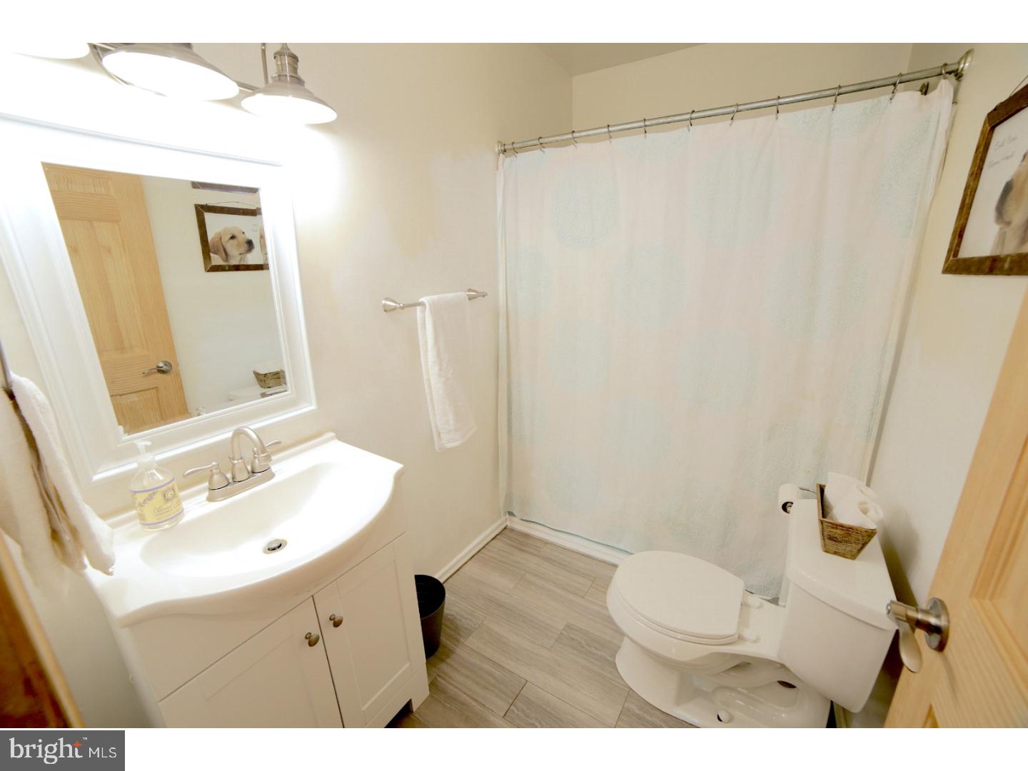 168 Stewart Road Pilesgrove, NJ 08098 - Photo 10 of 17 a bathroom with a sink a toilet a mirror and shower