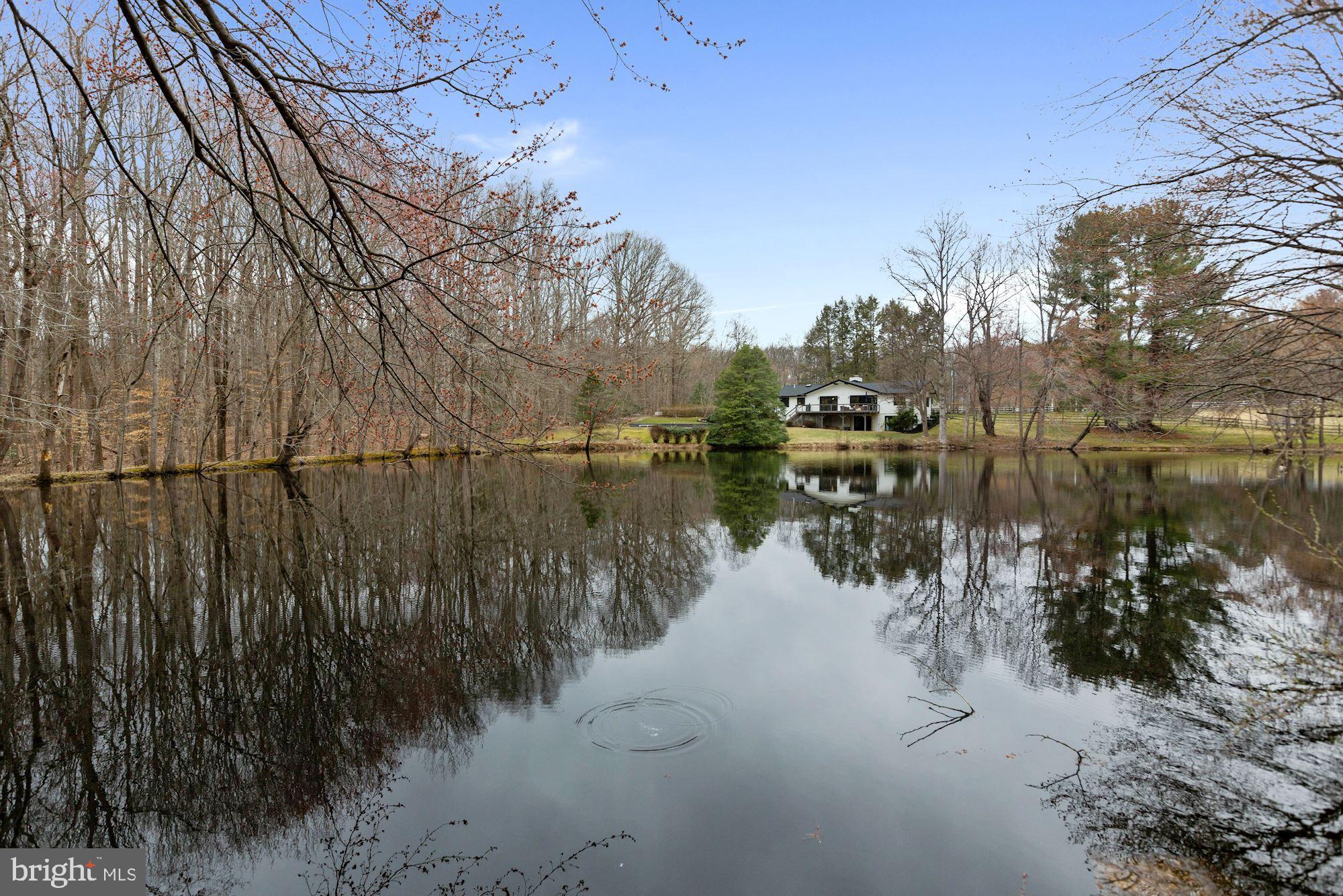 12023 Rusty Road Fairfax Station, VA 22039 - Photo 1 of 60 Stunning glistening pond with a shore line.