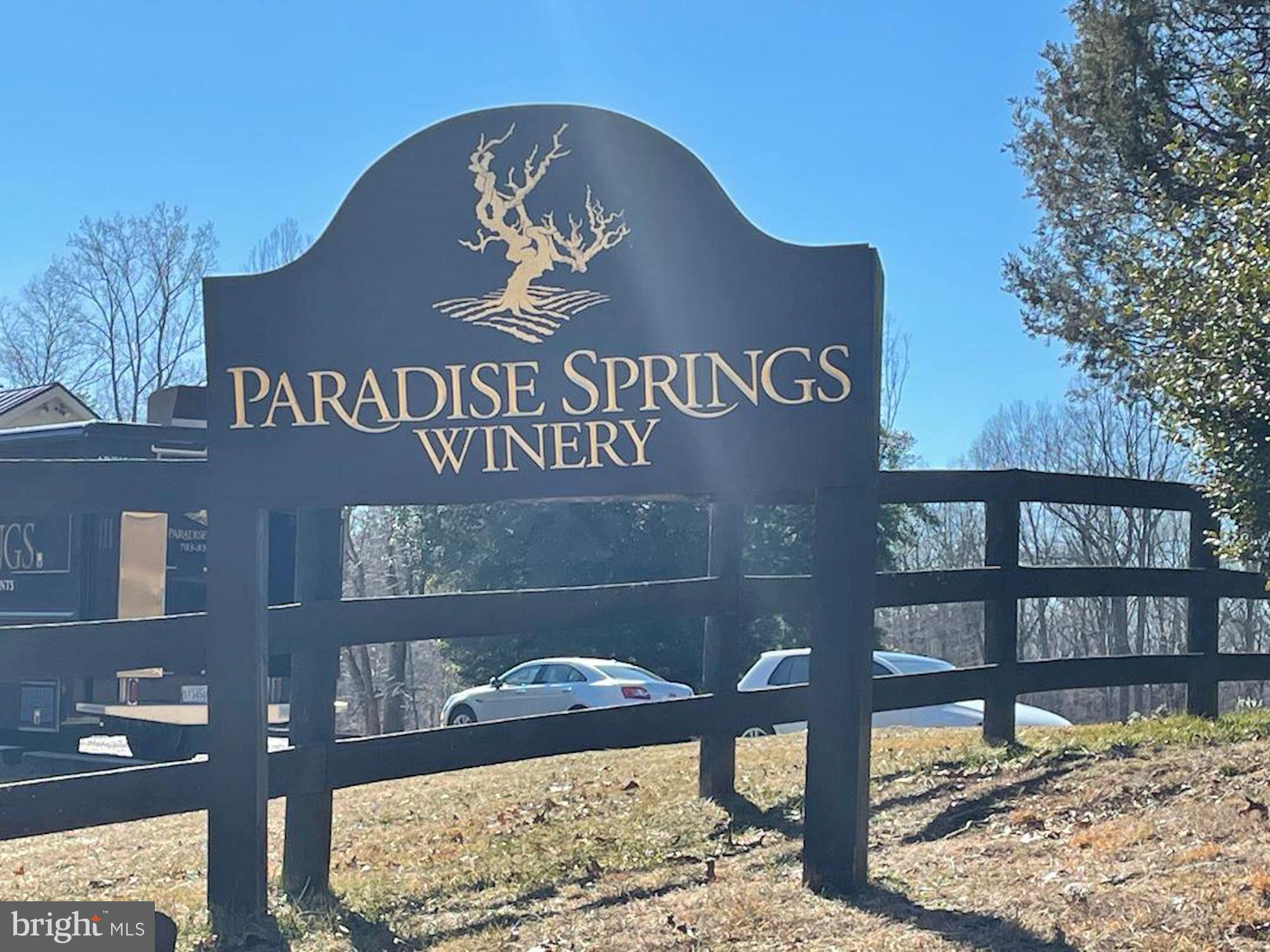12023 Rusty Road Fairfax Station, VA 22039 - Photo 60 of 60 Paradise Springs Winery and music.