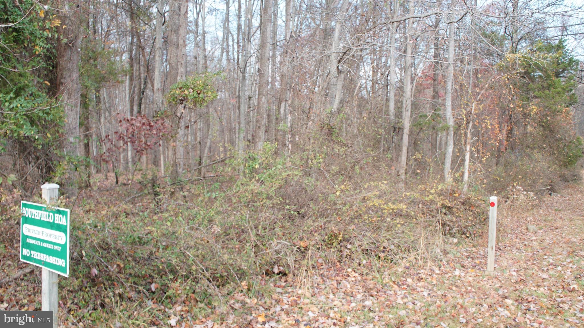 3140 Searsmont Place Herndon, VA 20171 - Photo 3 of 8 a close up of a plant in a garden