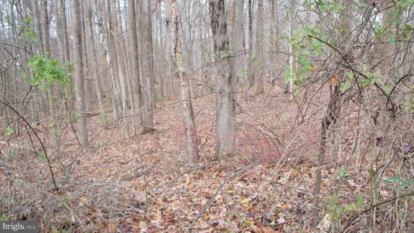 $675,000 | 3140 Searsmont Place, Herndon, VA 20171