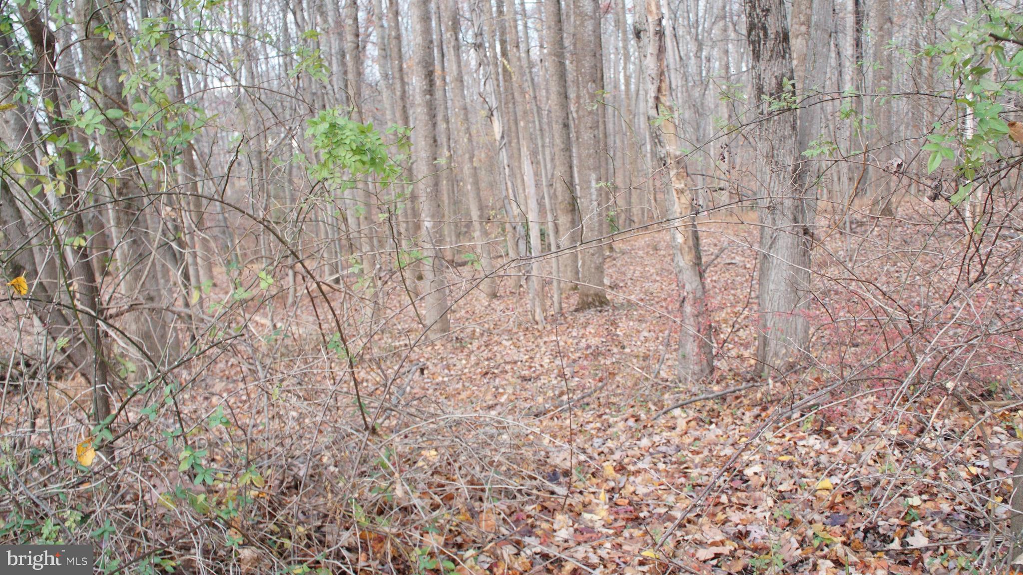 3140 Searsmont Place Herndon, VA 20171 - Photo 6 of 8 a view of wooden fence