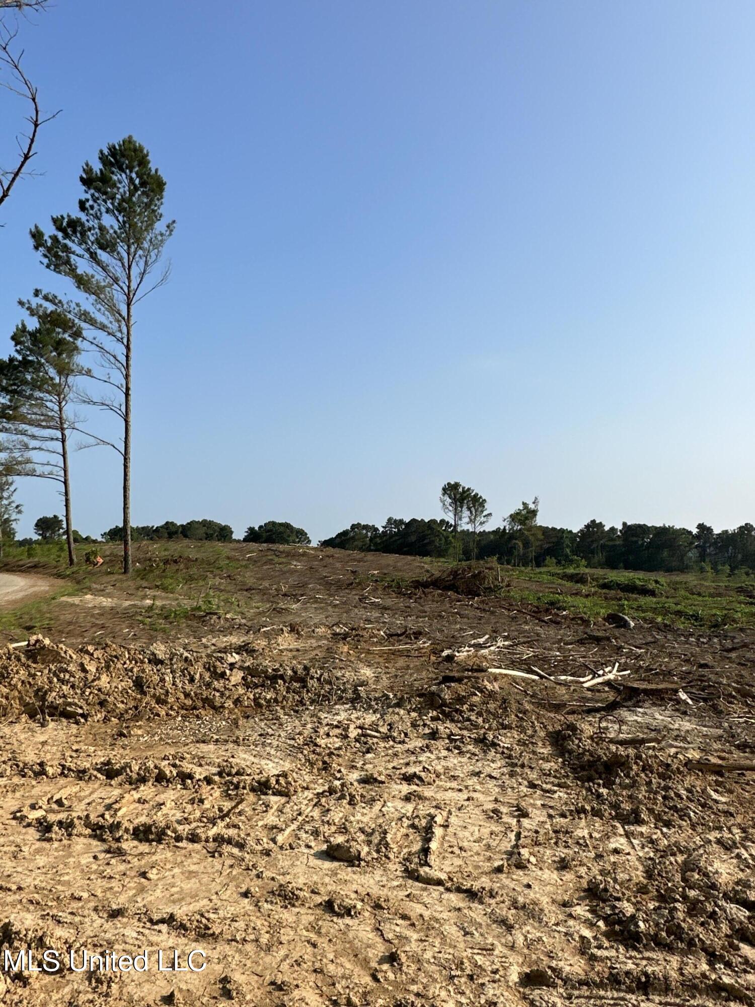 309 Co Road Oxford, MS 38655 - Photo 11 of 26 IMG_4741