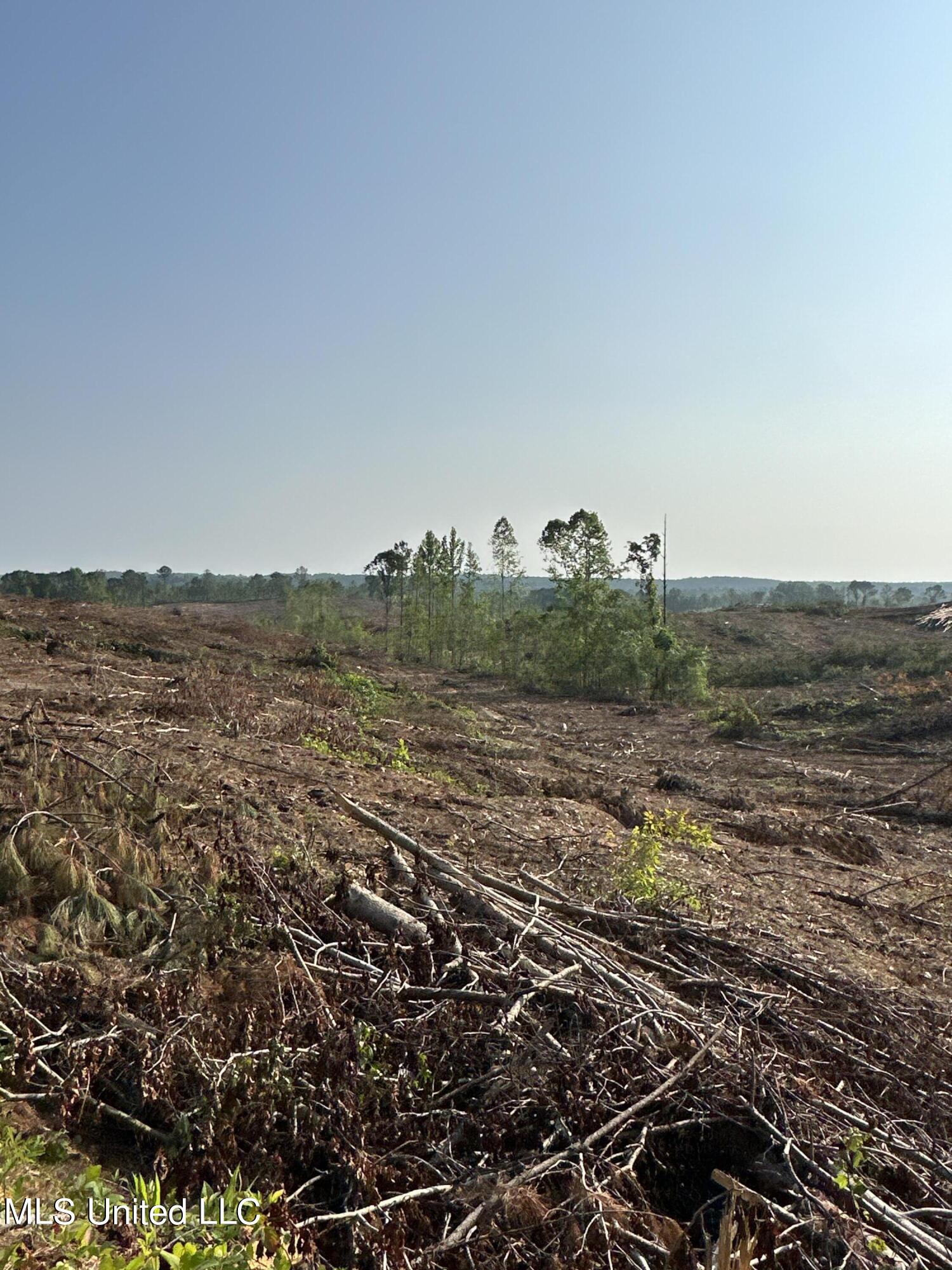 309 Co Road Oxford, MS 38655 - Photo 13 of 26 IMG_4743