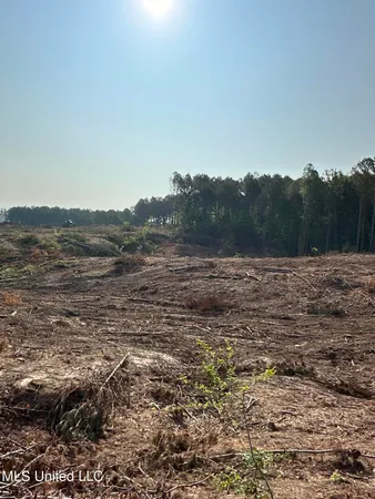 $418,300 | 309 Co Road, Oxford, MS 38655