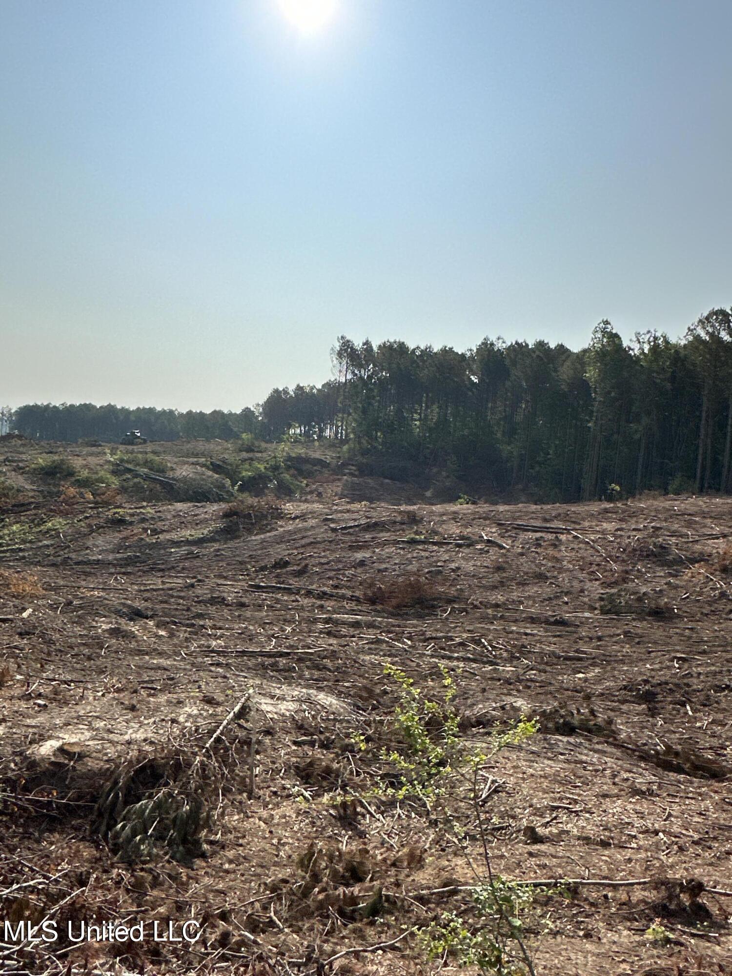 309 Co Road Oxford, MS 38655 - Photo 14 of 26 IMG_4744