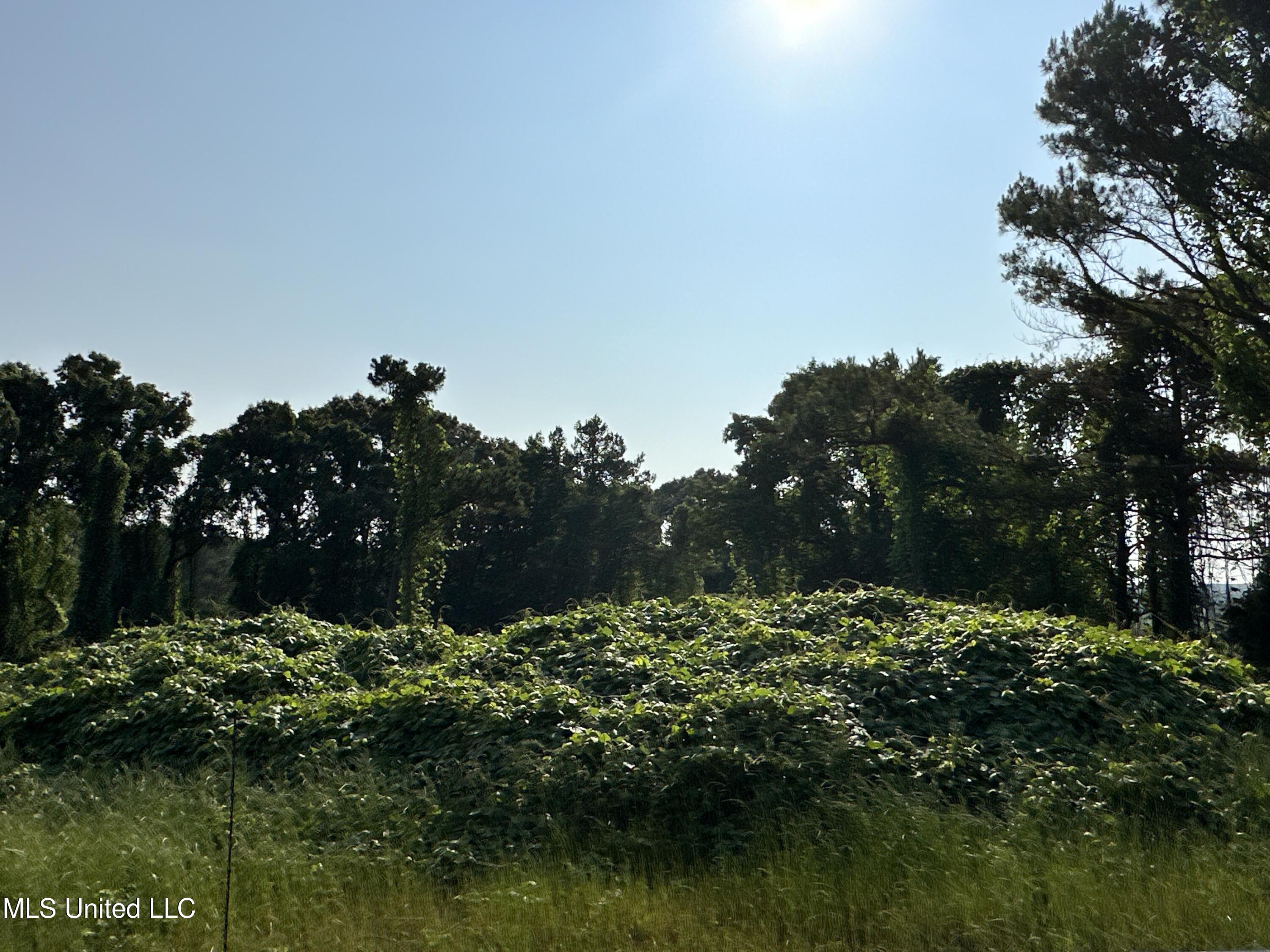 309 Co Road Oxford, MS 38655 - Photo 20 of 26 IMG_4750